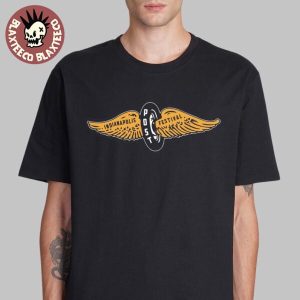 import placeholder for the post festival 2025 indianapolis indy 500 unise