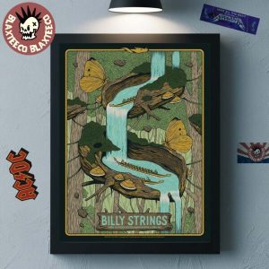 import placeholder for billy strings cary north carolina n 042146 38