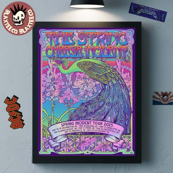 import placeholder for the string cheese incident spring i 105003 30